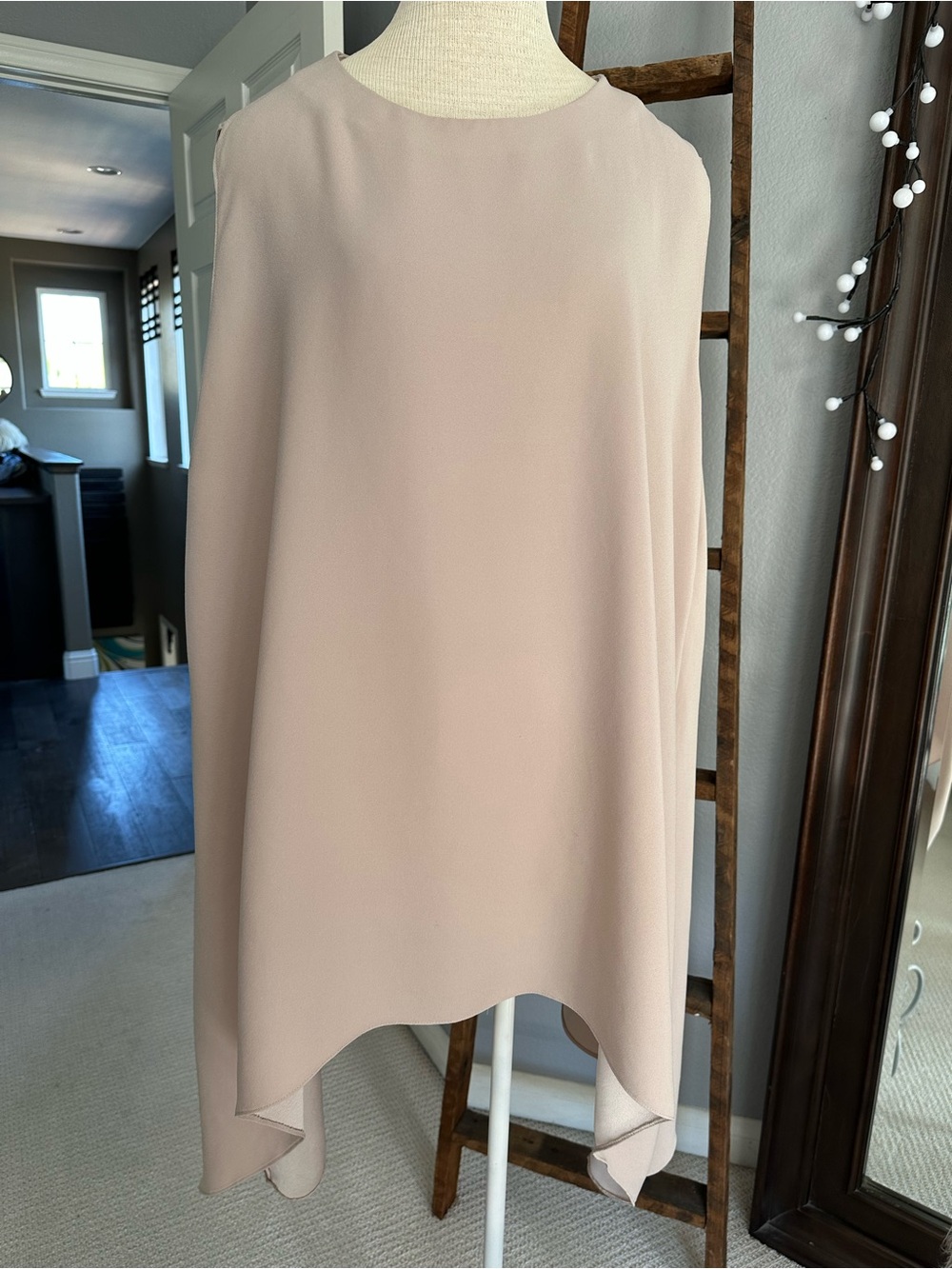 IRO Blush Asymmetrical Sleeveless Shift Dress, size (42) large - Picture 1 of 10